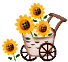 A cart full of sunflowers